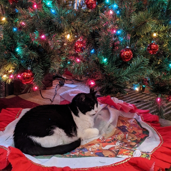 Welcome to my closet! - Picture 5 of 5